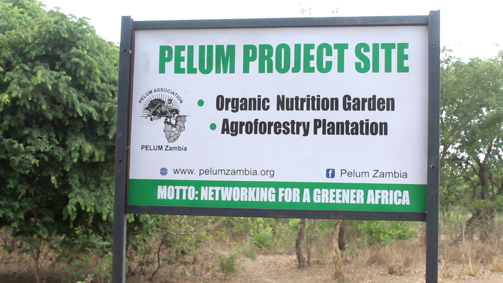 PELUM Donates a Water Tank to Tuswayane Women’s Club